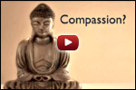 La compassion