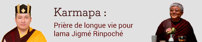 Prière de longue vie pour lama Jigmé Rinpoché