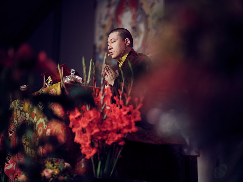 Karmapa encourage tous les lamas, les membres du sangha et les pratiquants laïcs à contempler continuellement les quatre sceaux. 