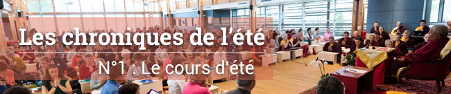 Le cours d’été : la philosophie pour tous