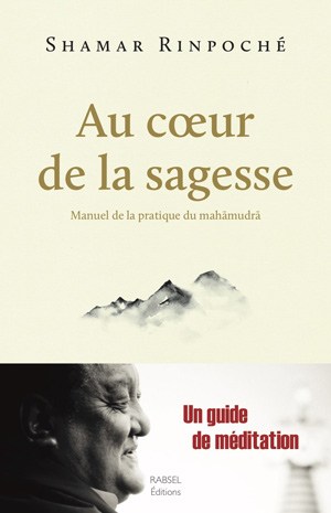 Au cœur de la Sagesse – Manuel de la pratique du mahāmudrā