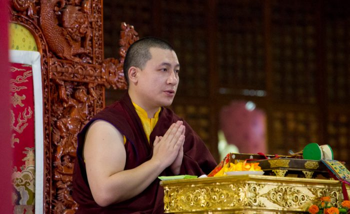 Thayé Dorjé, Sa Sainteté le XVIIe Gyalwa Karmapa
