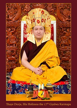 Thayé Dorjé, Sa Sainteté le XVIIe Gyalwa Karmapa