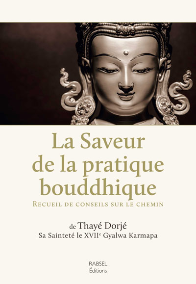 La Saveur de la pratique bouddhique - Recueil de conseils sur le chemin