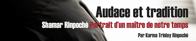 Audace et tradition Shamar Rinpoché – Portrait d’un maître de notre temps 