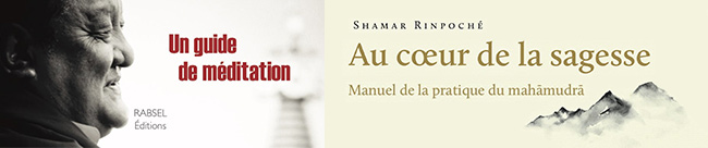 Au cœur de la Sagesse – Manuel de la pratique du mahāmudrā