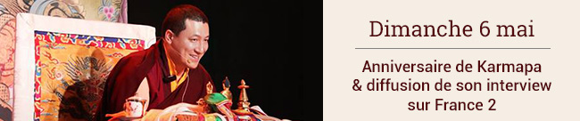 Karmapa, Thayé Dorjé