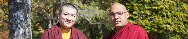 Déclaration conjointe de Sa Sainteté Trinley Thayé Dorjé et Sa Sainteté Ogyen Trinley Dorjé