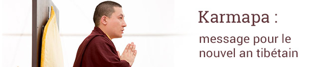 Thayé Dorjé, Sa Sainteté le XVIIe Gyalwa Karmapa