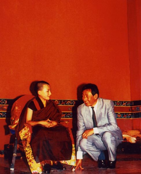 Vertical 800x1200px - 07_Naissance_XVII_Gyalwa_Karmapa