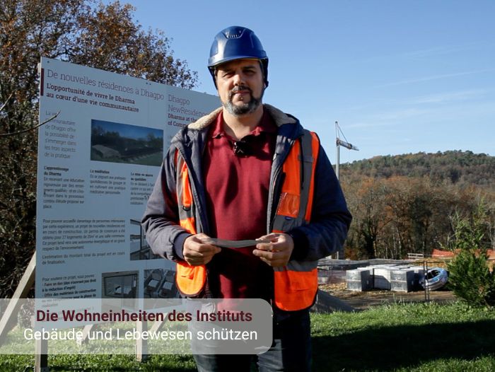 Termiten : Gebäude und Lebewesen schützen!
