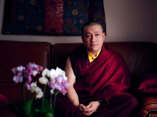 Karmapa au sujet de la pratique de la non-violence dans le bouddhisme Karmapa au sujet de la pratique de la non-violence dans le bouddhisme