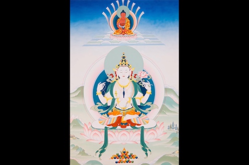 Karmapa : un message pour les pratiquants du Dharma