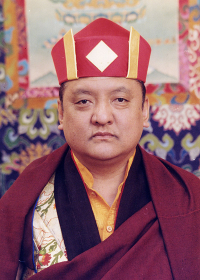His_Holiness_14th_Kunzig_Shamar_Rinpoche_official_portrait_400x560 Dhagpo Dedrol Ling