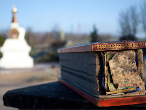 Participate in the Preservation of Texts Participate in the Preservation of Texts<br />