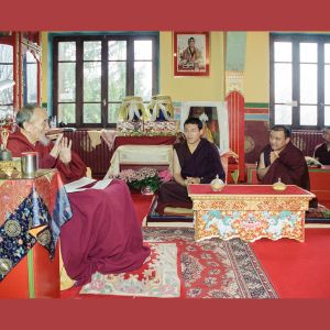 Stage public de méditation 2024 : photographies (suite)