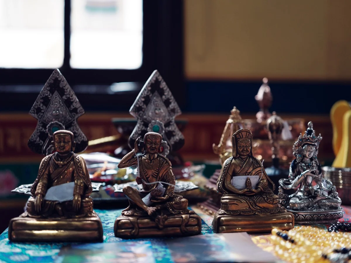 Stage public de Karmapa 2025 : impressions