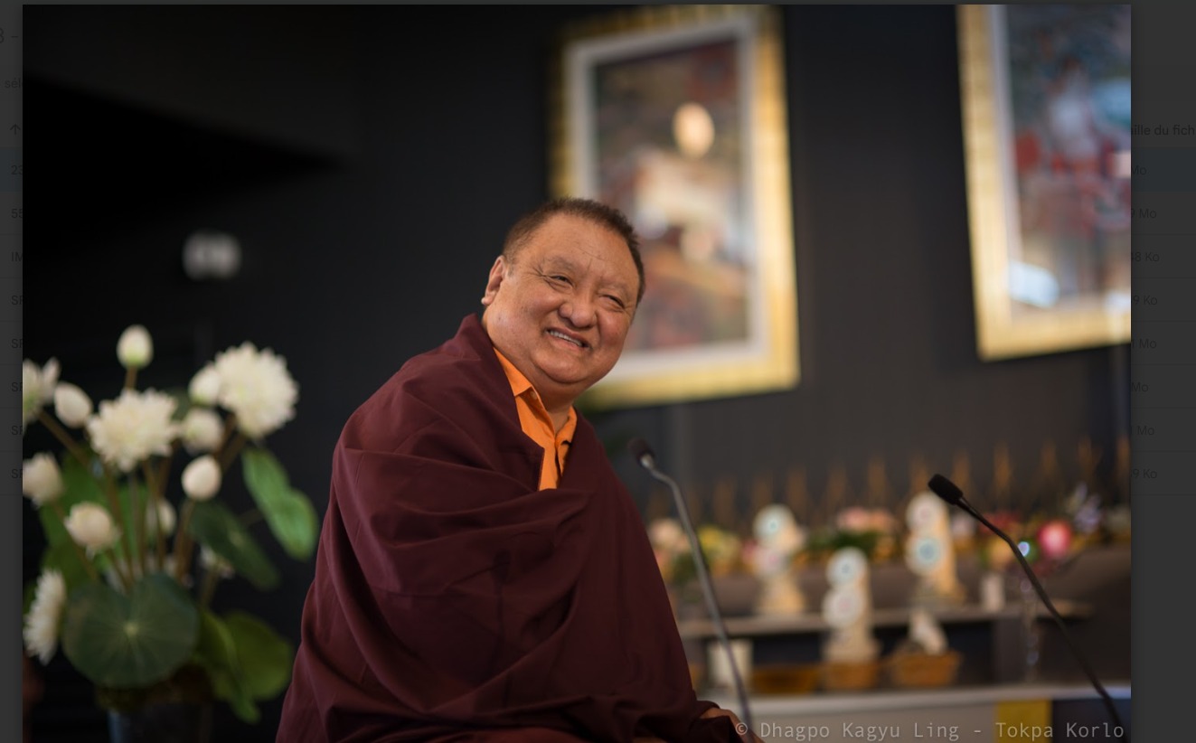 Kuzik Shamar Rinpoche Kuzik Shamar Rinpoche