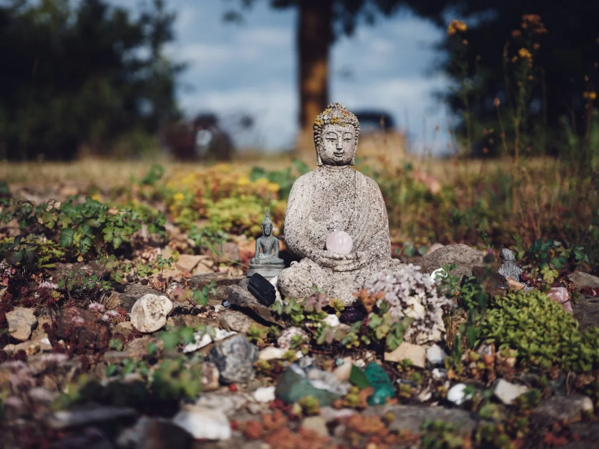 Karmapa à Dhagpo Möhra 2025